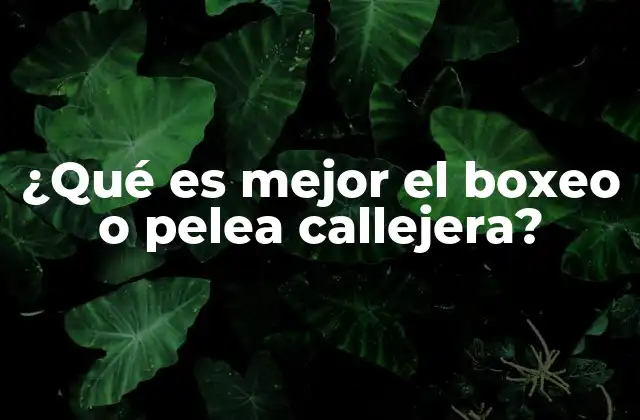 ¿qué es Mejor el Boxeo o Pelea Callejera?