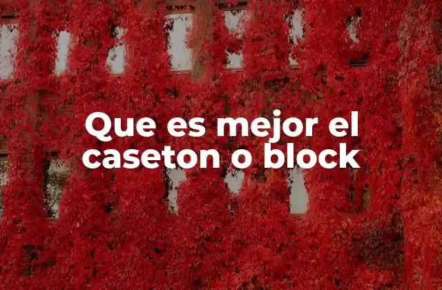 Que es Mejor el Caseton o Block