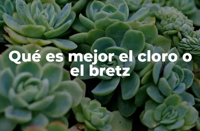 Qué es Mejor el Cloro o el Bretz