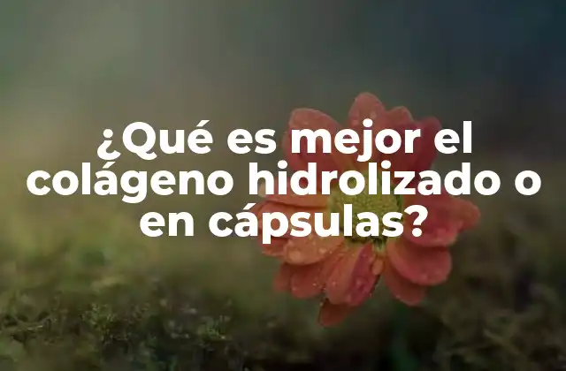 ¿qué es Mejor el Colágeno Hidrolizado o en Cápsulas?
