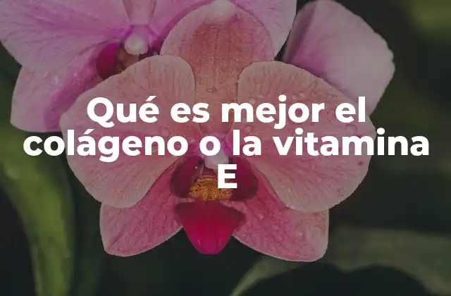 Comparando las funciones del colágeno y la vitamina E