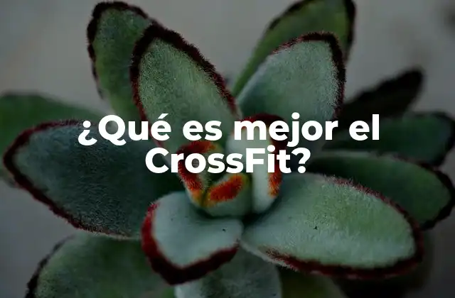 ¿qué es Mejor el Crossfit? 2 ¿Por qué elegir el CrossFit sobre otros métodos de entrenamiento?