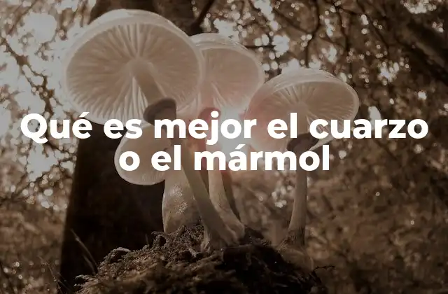 Qué es Mejor el Cuarzo o el Mármol