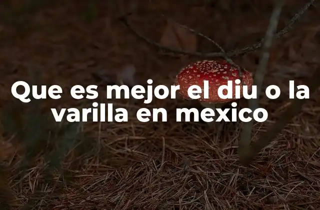 Que es Mejor el Diu o la Varilla en Mexico