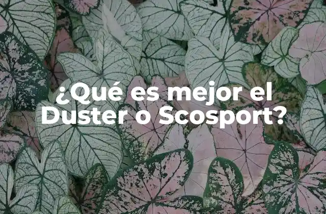 ¿qué es Mejor el Duster o Scosport?