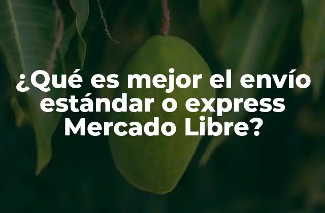 ¿qué es Mejor el Envío Estándar o Express Mercado Libre?
