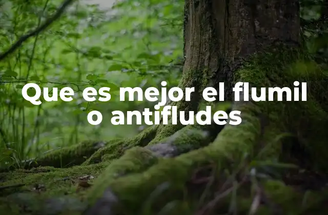 Que es Mejor el Flumil o Antifludes