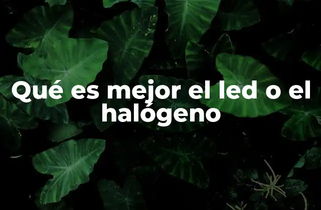 Comparando las bombillas LED y halógenas sin mencionar directamente el tema