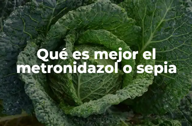 Qué es Mejor el Metronidazol o Sepia