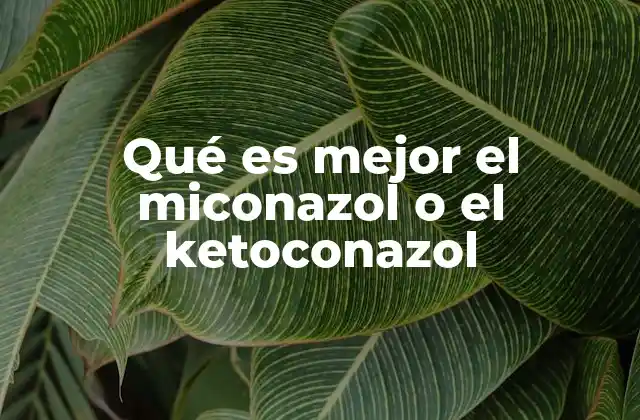 Qué es Mejor el Miconazol o el Ketoconazol