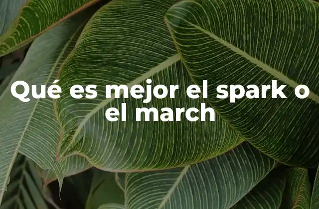 Qué es Mejor el Spark o el March 2 Comparando dos opciones urbanas