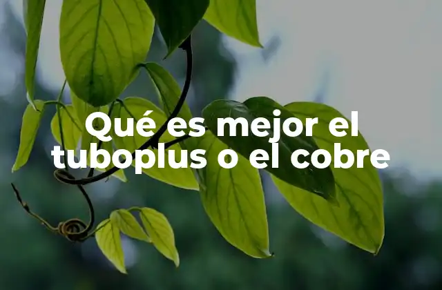 Qué es Mejor el Tuboplus o el Cobre