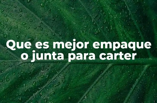 Factores clave para elegir entre empaque y junta para carter
