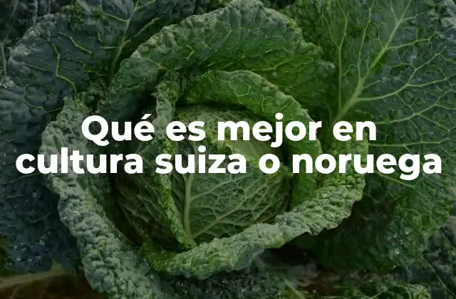 Qué es Mejor en Cultura Suiza o Noruega