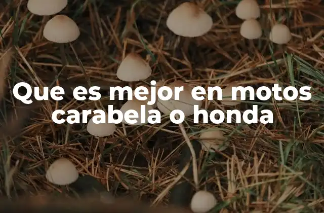 Comparando el estilo y la funcionalidad entre ambas marcas