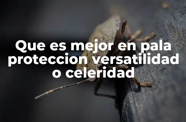 Que es Mejor en Pala Proteccion Versatilidad o Celeridad