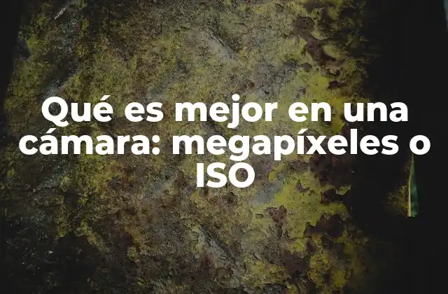 Cómo afectan los megapíxeles y el ISO a la calidad de imagen