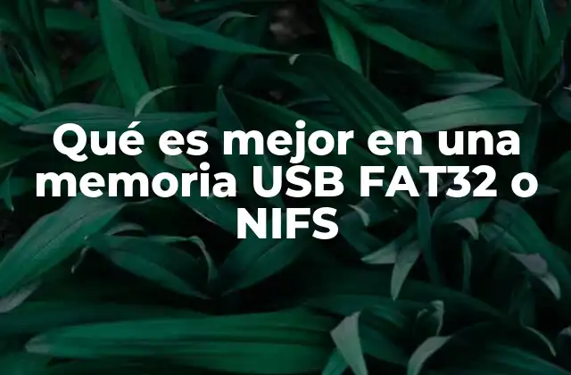 Qué es Mejor en una Memoria Usb Fat32 o Nifs