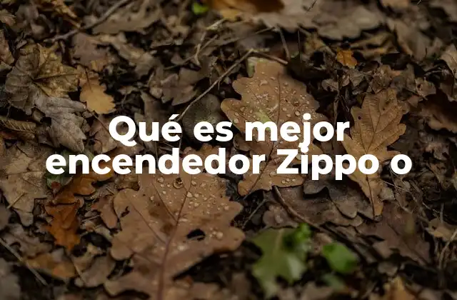 Qué es Mejor Encendedor Zippo o