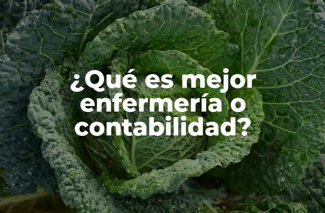 ¿qué es Mejor Enfermería o Contabilidad? 2 Dos caminos, dos realidades laborales