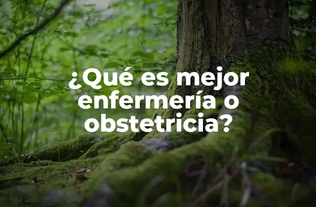 ¿qué es Mejor Enfermería o Obstetricia?
