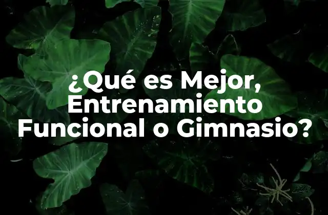 ¿qué es Mejor, Entrenamiento Funcional o Gimnasio?