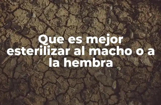 Factores que influyen en la decisión de esterilizar