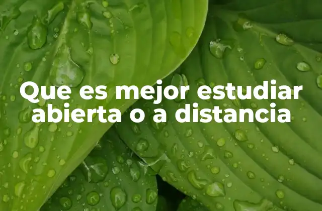 Que es Mejor Estudiar Abierta o a Distancia
