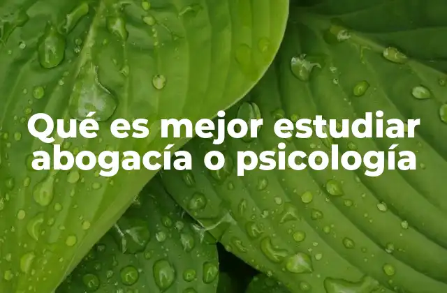 Qué es Mejor Estudiar Abogacía o Psicología