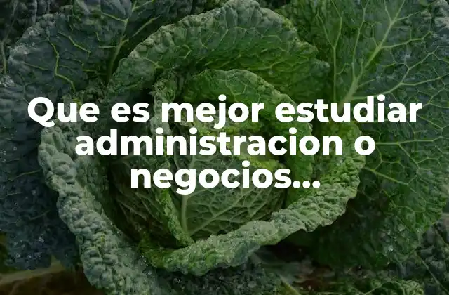 Que es Mejor Estudiar Administracion o Negocios Internacionales