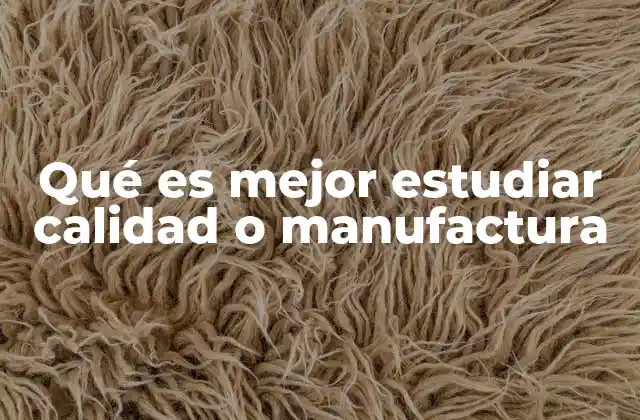 Qué es Mejor Estudiar Calidad o Manufactura