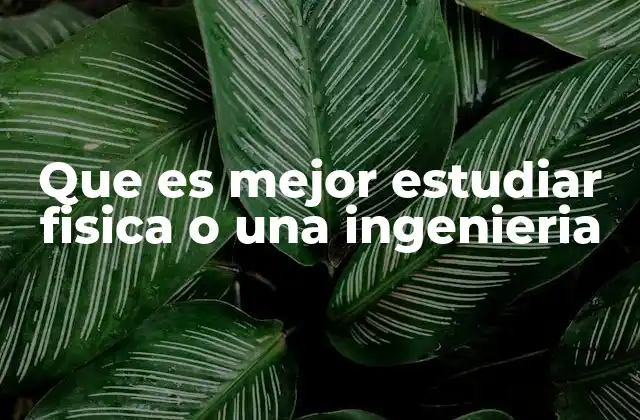 Que es Mejor Estudiar Fisica o una Ingenieria