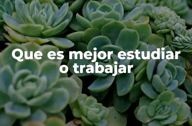 Que es Mejor Estudiar o Trabajar