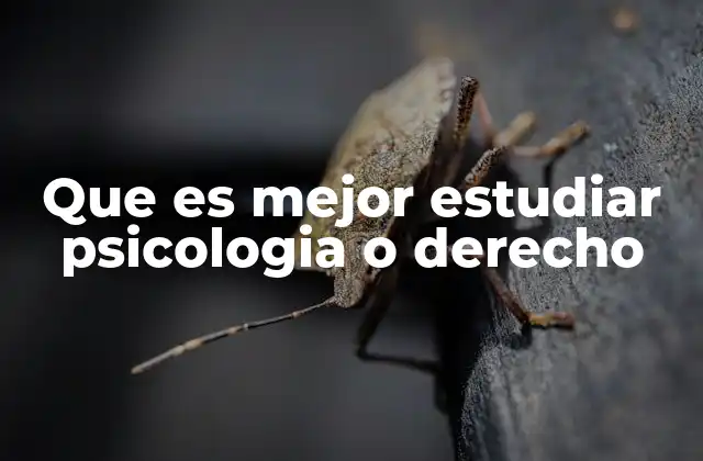 Que es Mejor Estudiar Psicologia o Derecho