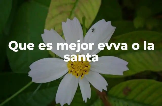 Características clave de las cerraduras EVVA