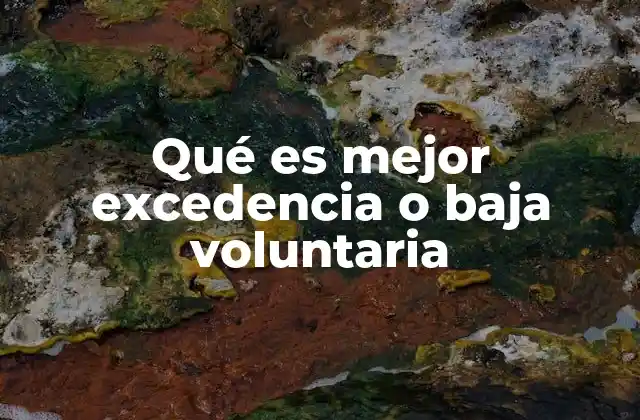 Qué es Mejor Excedencia o Baja Voluntaria