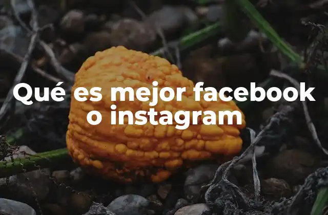 Qué es Mejor Facebook o Instagram
