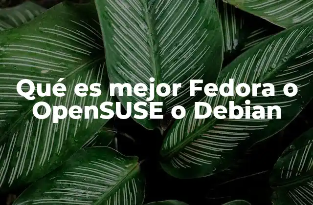 Qué es Mejor Fedora o Opensuse o Debian