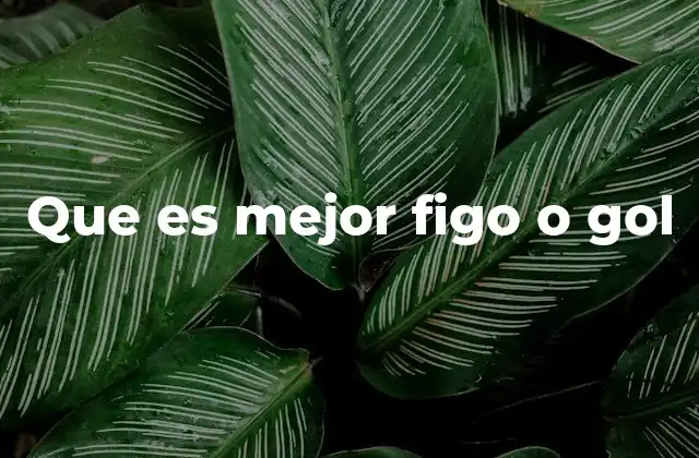 Que es Mejor Figo o Gol