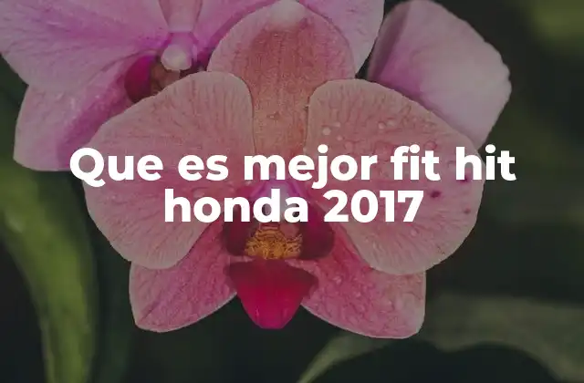 Diferencias clave entre Fit y Hit 2017