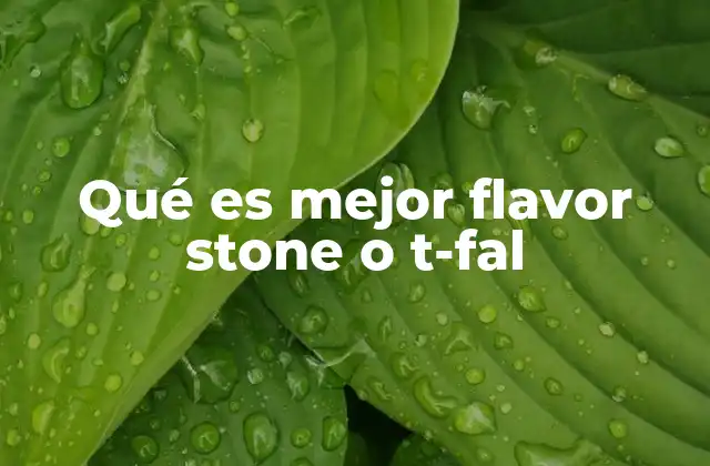 Qué es Mejor Flavor Stone o T-fal