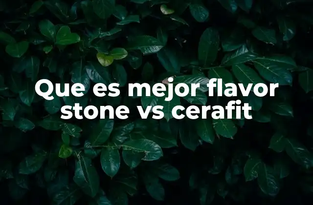 Que es Mejor Flavor Stone Vs Cerafit
