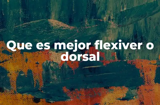 Comparando soportes para espalda: ¿cuál elegir?