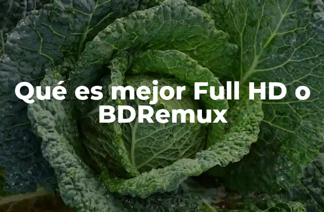 Qué es Mejor Full Hd o Bdremux