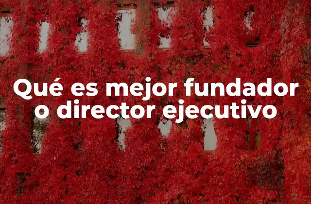 Qué es Mejor Fundador o Director Ejecutivo