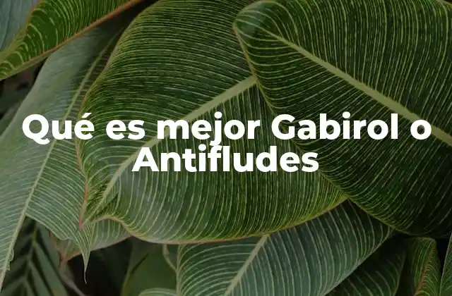 Qué es Mejor Gabirol o Antifludes