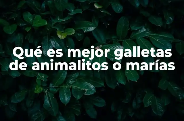 Qué es Mejor Galletas de Animalitos o Marías 2 Comparando sabores y texturas de dos clásicos de la repostería