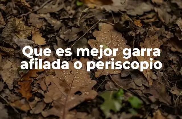 Que es Mejor Garra Afilada o Periscopio