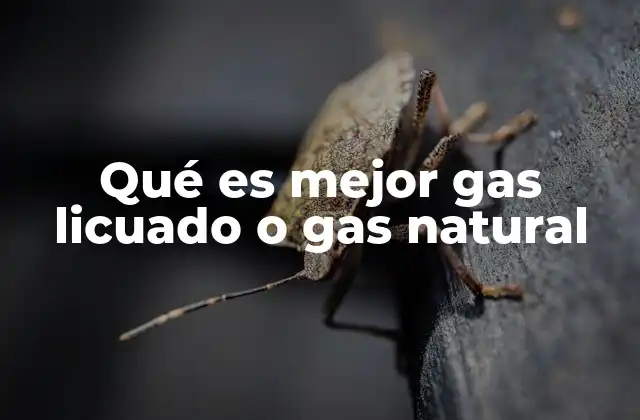 Qué es Mejor Gas Licuado o Gas Natural