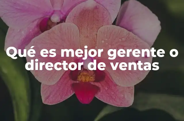 Qué es Mejor Gerente o Director de Ventas
